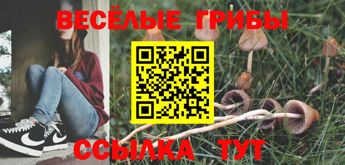 Галлюциногенные грибы Psilocybine cubensis Можга